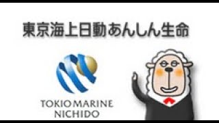 【第257回】東京海上あんしん生命年金保険からiDeCo、NISAではなく海外積立年金を選んだ5つのポイント。【群馬県 会社員 40歳前半 女性】 [upl. by Gagne]