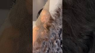 How to bleach knots on lace frontal❗️shorts hair lacefrontal hairtutorial hairextensions [upl. by Haddad]