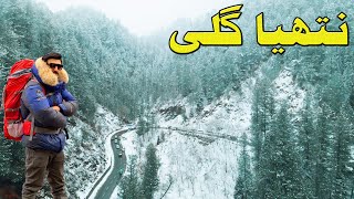 Nathia Gali amp Murre Heavy Snowfall Adventure  Snowfall In Pakistan [upl. by Dnalerb351]