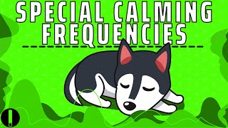 Dog Calming Frequency [upl. by Adachi]