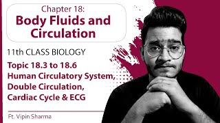 Topic 183 to 186 Human Circulatory System Double Circulation ECG Cardiac Cycle  11th Physio [upl. by Shabbir]