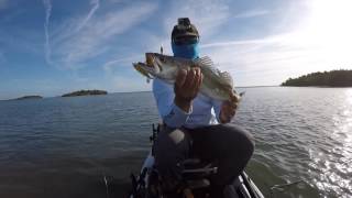 How To Use The Whopper Plopper To Catch Saltwater Fish REVIEW [upl. by Castara]