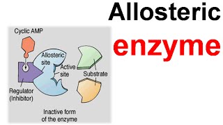 Allosteric enzyme [upl. by Cicily]