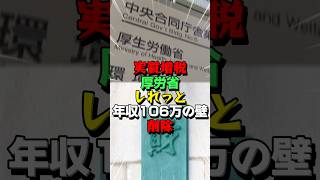 ㊗️15万再生！社会保険料増額！年収106万の壁撤廃がヤバい！ [upl. by Rybma]