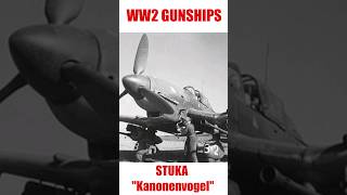 WW2 Gunships  Stuka Kanonenvogel military militaryaviation militaryaviationhistory [upl. by Eurd781]