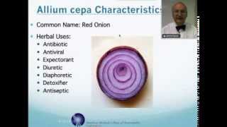 Allium Cepa Homeopathic Medicine Tips For Beginners [upl. by Elokin]