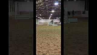 Scooope horseriding horsejumping showjumping fypシ゚viral scope [upl. by Noiro]