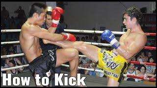 How to front kick  MMA  MUAY THAI [upl. by Lochner]