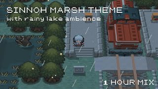 POV Youre Exploring The Rainy Sinnoh Marshlands  Nostalgic Pokemon Music With Ambience [upl. by Goodrich170]