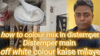 how to mix colour in distemper  distemper mein off white colour kaise milaye  paint ki duniya [upl. by Hans587]