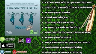 Taner Eyüpoğlu  Yeşil Yaylanın Gülü [upl. by Bailar]