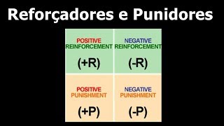 Um pouco sobre os Reforçadores e os Punidores [upl. by Eletnahs]