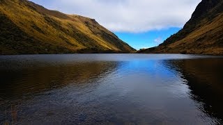 Documental El Agua de los Paramos y bosques de neblina [upl. by Zamir686]