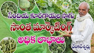 Organic Vegetable Farming  Venkateshwarlu  Contact  7702710588 [upl. by Cran]