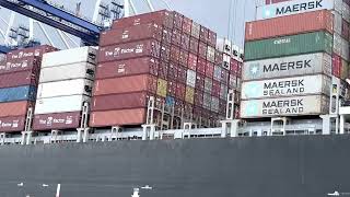 Huge Cargo Ships Unloading Shipping Containers [upl. by Lleznol]