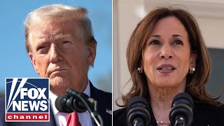 Trump takes lead on VP Harris top pollster reveals gut prediction [upl. by Necyrb]