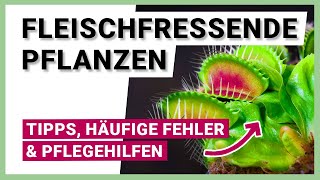 Fleischfressende Pflanzen Pflege Tipps häufige Fehler und Pflegehilfen [upl. by Ahsiener]