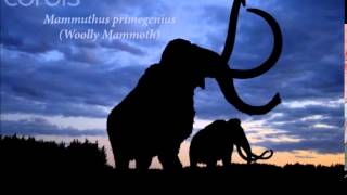 Prehistoric Predators Mammuthus [upl. by Riamo]