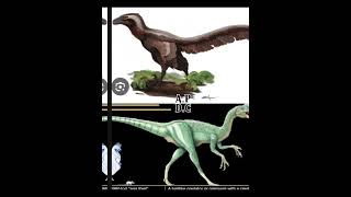 Doing random debates pt2 Deinonychus vs Oviraptor dinosaur dinosauredit dino dinoedit [upl. by Ennahs355]