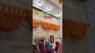 Nankana Sahib on the occasion of Guru Nanak’s Purab 🙏🙏🙏 nankanasahib gurunanakdevji yt [upl. by Burchett]