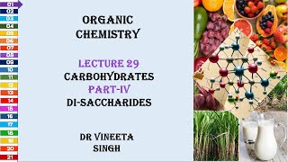 Exploring the World of Disaccharides Structure Function and Importance [upl. by Lister]