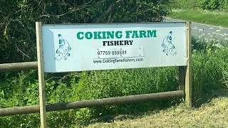 Coking farm fishery bank chat carp fishing carpfishing catfish [upl. by Gentilis]