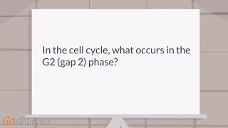 What happens in the G2 phase of the cell cycle [upl. by Gerard]