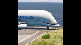 Absolute RARITY Airbus Beluga XL takes off from short runway [upl. by Hillary]