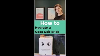 How to Hydrate a Coco Coir Brick [upl. by Nishom]