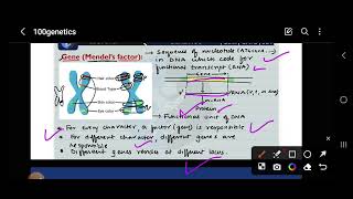 what is gene  allele  trait  mendelian genetics 2 neetnotes biologynotes csirnet csirnotes [upl. by Eresed]