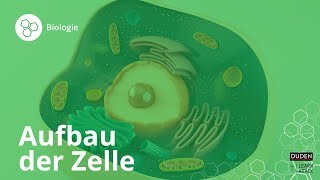 Aufbau der Zelle Bio leicht gemacht – Biologie  Duden Learnattack [upl. by Madda]