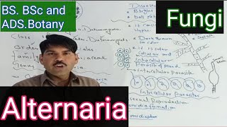 Alternaria complete topic [upl. by Frantz]