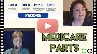 Medicare Billing Guidelines  Medicare Parts A B C and D [upl. by Airtemed707]