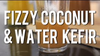 How to Make Fizzy Coconut amp Water Kefir from Kefir Grains Probiotic Drink [upl. by Adianes]