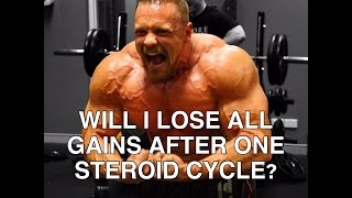 Will I Lose All Gains After One Cycle  Tiger Fitness [upl. by Aelam954]