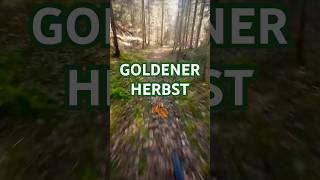 Goldener Herbst 🍂 mountainbike herbst [upl. by Mayes]