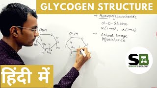 Structure of Glycogen in Hindi [upl. by Adrahs]