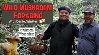 Wild Mushroom Foraging with Daniel Winkler 2024 [upl. by Stark]