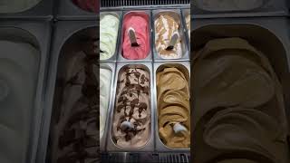 Vitrine Alphagel Ideal para sorvete aretsanal gelato e confeitaria [upl. by Coleman]