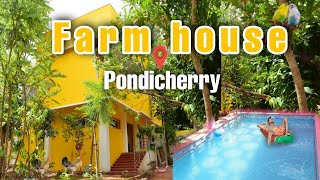 auroville private farm house with swimming pool yengadapora 4k [upl. by Conover]