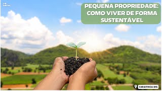 PEQUENA PROPRIEDADE o equilíbrio perfeito entre natureza e agricultura rentável [upl. by Kcerb]