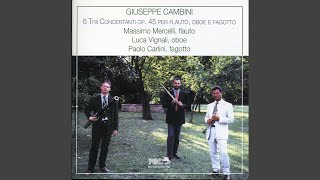 Trio No 2 for Flute Oboe and Bassoon Op 45 I Allegro affettuoso [upl. by Eaner]