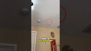 Creepy sound from the ceiling 😱 [upl. by Sheets]