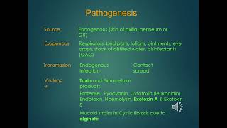 Pseudomonas treatment diagnosis and disease [upl. by Ainoyek]