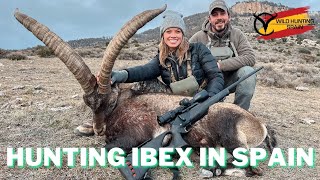 Hunting Beceite Ibex in Spain with Wild Hunting Spain [upl. by Eylhsa]