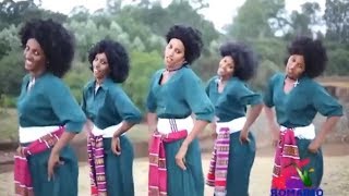 Best Ethiopian Traditional Music 2014 Solomon Demle  Mech Ayeshiwuna [upl. by Etireuqram]