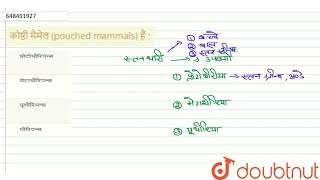 कोष्ठी मैमेल pouched mammals हैं   CLASS 9  जीवित जीवों में विविधता  BIOLOGY  LAKHMIR SIN [upl. by Dnomed]