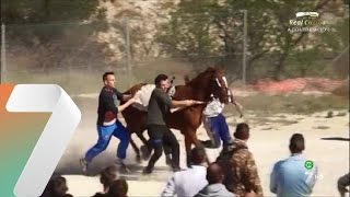 Así se entrenan los Caballos del Vino de Caravaca [upl. by Mitzie]