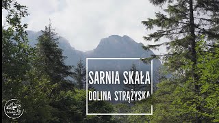 Sarnia Skała  łatwy szlak w Tatrach z Doliny Strążyskiej 8072024 [upl. by Claudetta]