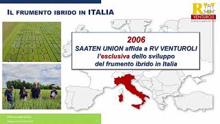 Frumento ibrido le nuove genetiche nei percorsi agronomici sostenibili [upl. by Adnilrev746]